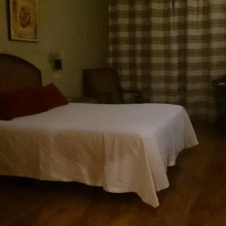 Real Restaurante El Linar Del Zaire 4* Burgohondo